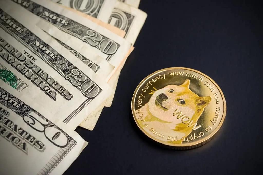Invested in Dogecoin