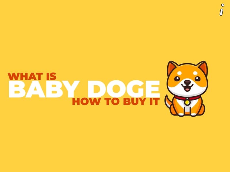What is Baby Doge and How to Buy Baby Doge ?