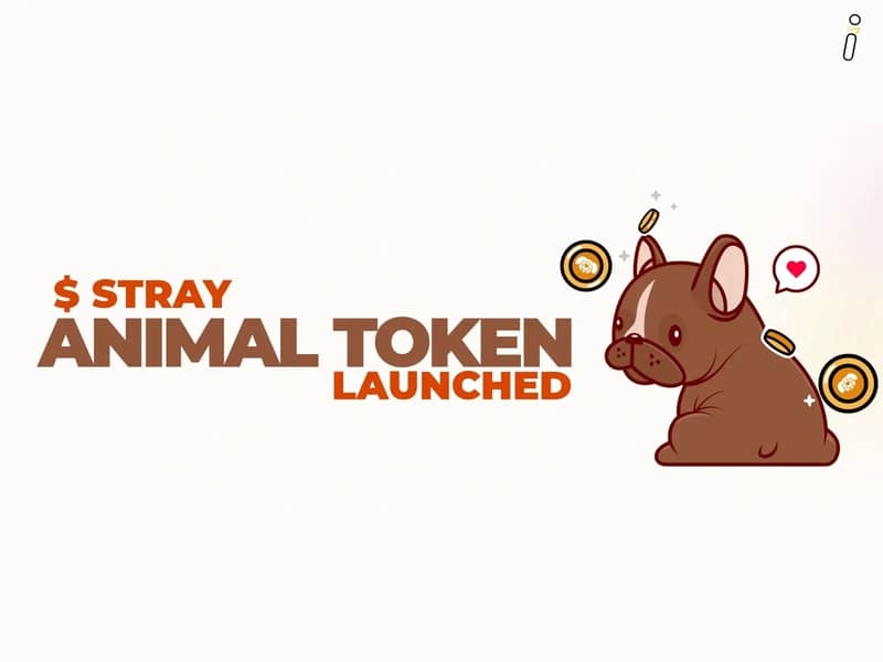 animal token stray launched -